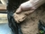 Pacote 2kg Pó de Serra (MDF) (48044) - comprar online