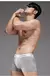 Men Sports Boxers Underwear Cuecas Letras Banda Larga Branco Preto Cinza L XL XXL Respirável Ventilar Moda Fitness Sports - comprar online