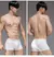 Men Sports Boxers Underwear Cuecas Letras Banda Larga Branco Preto Cinza L XL XXL Respirável Ventilar Moda Fitness Sports - loja online