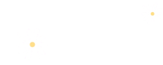 ddpossedesign