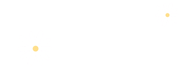 ddpossedesign
