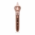 The Gloss Orgy Collection en internet
