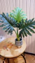 PLANTA ARTIFICIAL GUEMBE en internet