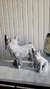 FIGURA DECORATIVA PERRO BULLDOG PLATEADO - comprar online