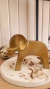 perro bulldog - Casa Gauden