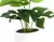 PLANTA ARTIFICIAL MONSTERA - Casa Gauden