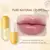 Focallure Dia e Noite Reparação Lip Oil - Dream Made