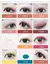 Paleta Monocromática de Sombras