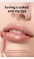 Imagem do Lip Oil Volumising Imediato