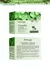 BIOAQUA Centella Asiatica Face Cream - comprar online
