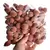 Mini Esponja de Maquiagem 100 pcs - loja online