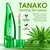 Lip Oil Aloe Vera - comprar online