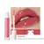 Imagem do Focallure Gloss de Longa Duração