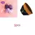 Conjunto Magic Cosmetic Puff