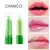Lip Balm Aloe Vera