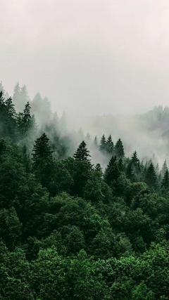 Banner de la categoría Productos