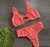 Bikini Cabo Salmon