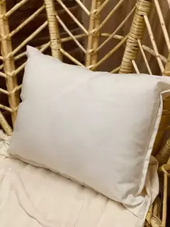 Almohadones 60x40 Lisos