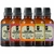 Super Kit 5 Essências A Base Água Hidrossolúvel 30ml Difusor