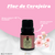Essência Hidrossolúvel Clássica 10ML Flor de Cerejeira na internet
