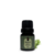 Essência Hidrossolúvel Premium 10ML Bamboo - comprar online