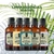 Super Kit 5 Essências A Base Água Hidrossolúvel 30ml Difusor - Nattuaromas