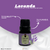 Essência Hidrossolúvel Clássica 10ML Lavanda na internet