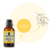 Essência Hidrossolúvel 30ml Yang Ylang na internet
