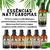 Super Kit 5 Essências A Base Água Hidrossolúvel 30ml Difusor - loja online