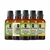 Super Kit 5 Essências A Base Água Hidrossolúvel 30ml Difusor - loja online