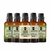 Super Kit 5 Essências A Base Água Hidrossolúvel 30ml Difusor - Nattuaromas
