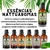 Super Kit 5 Essências A Base Água Hidrossolúvel 30ml Difusor