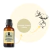 Essência Hidrossolúvel 30ml Algodão na internet