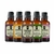 Super Kit 5 Essências A Base Água Hidrossolúvel 30ml Difusor - comprar online