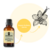 Essência Hidrossolúvel 30ml Baunilha na internet
