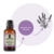 Essência Hidrossolúvel 30ml Lavanda na internet