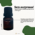 Essência Hidrossolúvel Clássica 10ML Bamboo - loja online