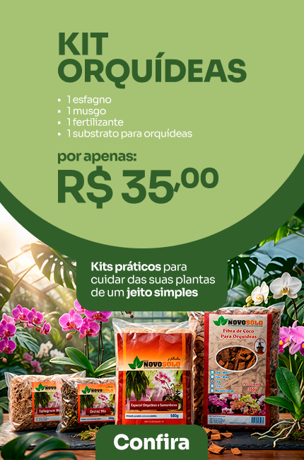 Carrossel