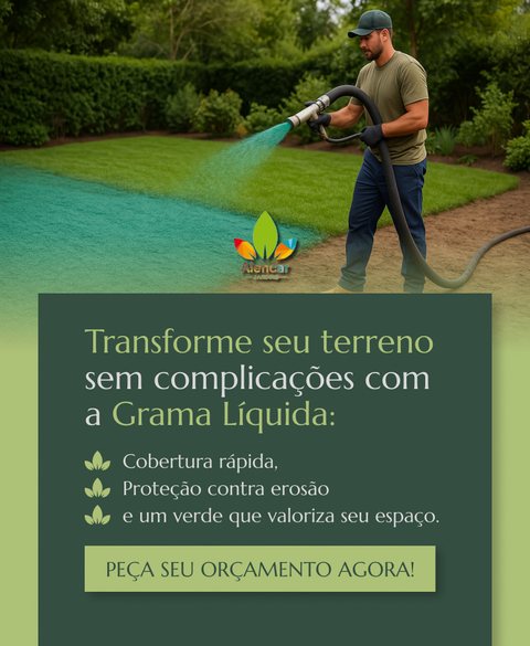 Carrossel 1