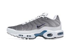 Air Max Plus TN "Flat Pewter" na internet