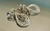 ARETES COLGANTES PIEDRA BLANCA