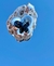 DIJE MARIPOSA PIEDRA NEGRA - comprar en línea