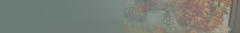 Banner da categoria TODAS