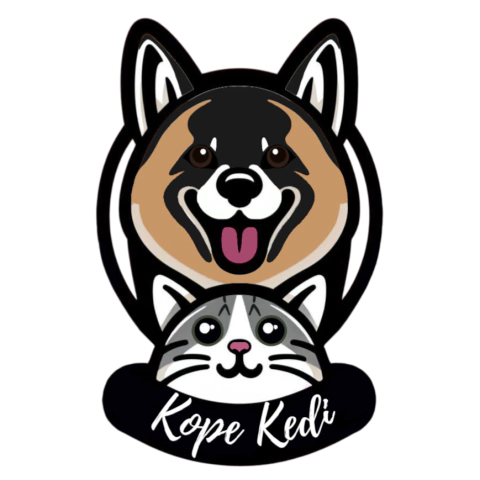 Kope Kedi
