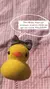 Patitos Kawaii + Certificado de adopción en internet