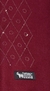Lenço Cashmere com Detalhes de Pedras