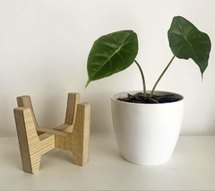 Maceta de encastre Petit - PuntoP Home y Deco