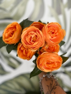 Ramo de Rosas x7