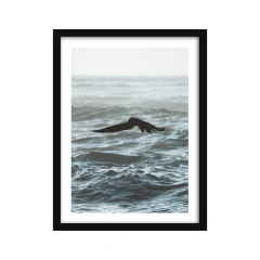 Imagen de Ave de marea