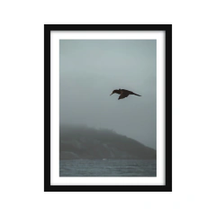 Imagen de Canto de Sirenas - II